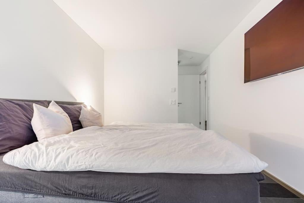 Appartement Luxus Mit Garten Zürich